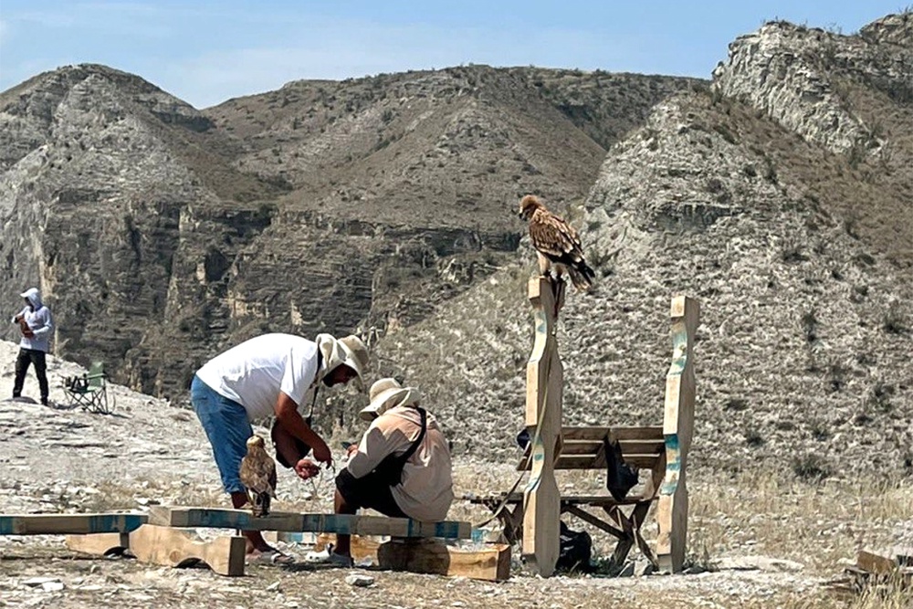 В Дагестане всегда можно встретить людей, предлагающих сделать снимок с птицами. Стоимость услуги - от одной до четырех тысяч рублей.