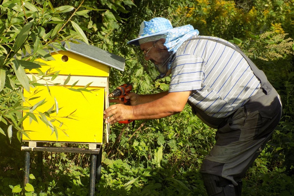 20лет назад Михаил Зубков начинал с пяти ульев, сейчас в его хозяйстве их в десять раз больше.