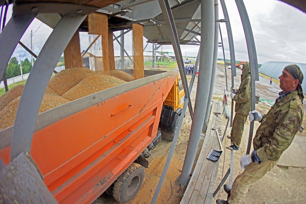 Из-за дождливой погоды зерно влажное, так что зерносушильное оборудование на элеваторах должно быть готово к напряженной работе.