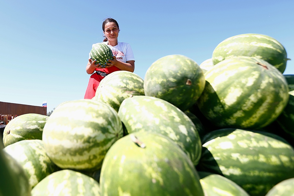 Арбуз не советуют совмещать ни с чем молочным и соленым.