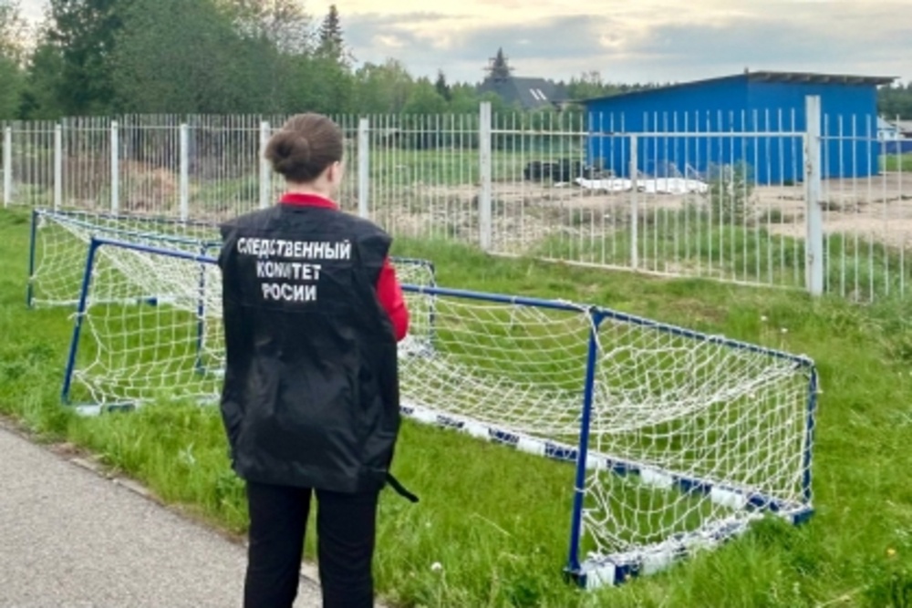 На Вологодчине руководителя лагеря будут судить за упавшие на ребенка ворота.