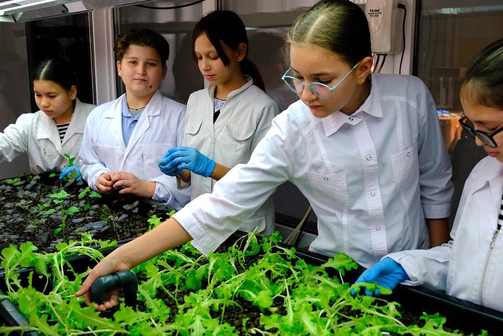 В школе села Три Протока Приволжского района работает кружок аквапоники.