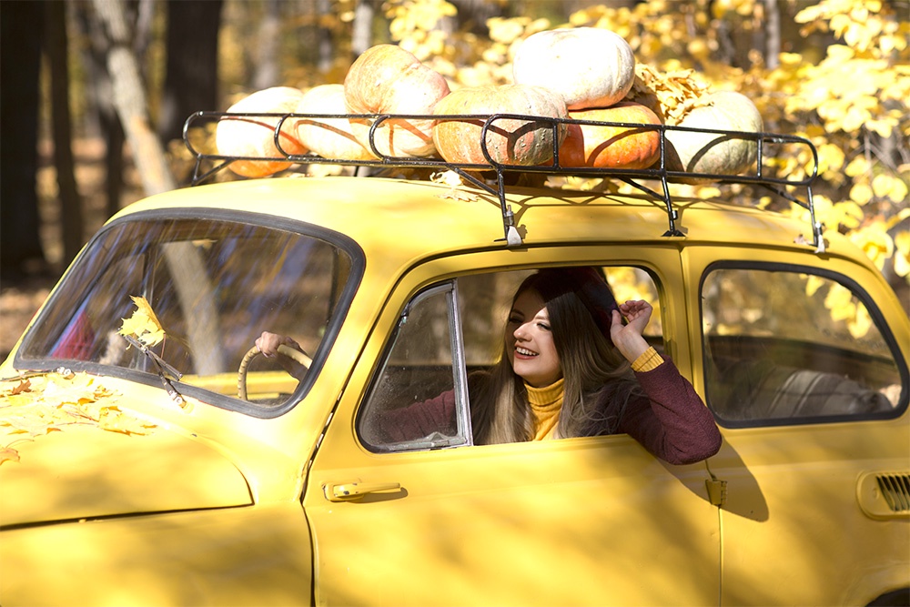 Рекомендуется замена щеток стеклоочистителя. За лето щетки изнашиваются.