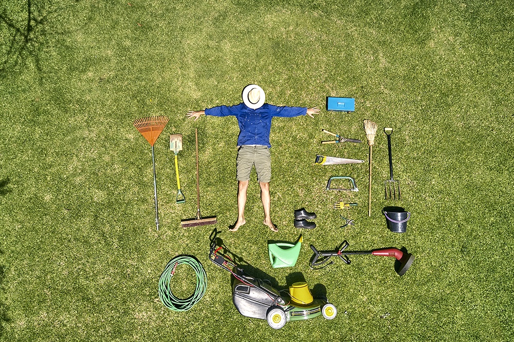 Добросовестных владельцев не накажут, массовых кампаний по изъятию земель не планируется.