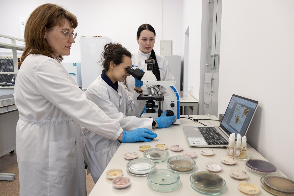 В 2025 году ДальГАУ занял 4-е место в общероссийском рейтинге по успешности трудоустройства и уровню зарплаты своих выпускников.