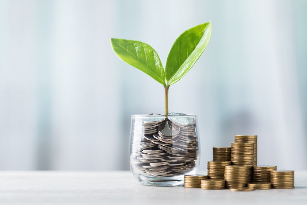 Важнейшим фактором успеха при инвестировании, как правило, становится дисциплина и регулярность пополнения своего инвестиционного портфеля, а также грамотный подбор инструментов. Растение в стакане с монетами