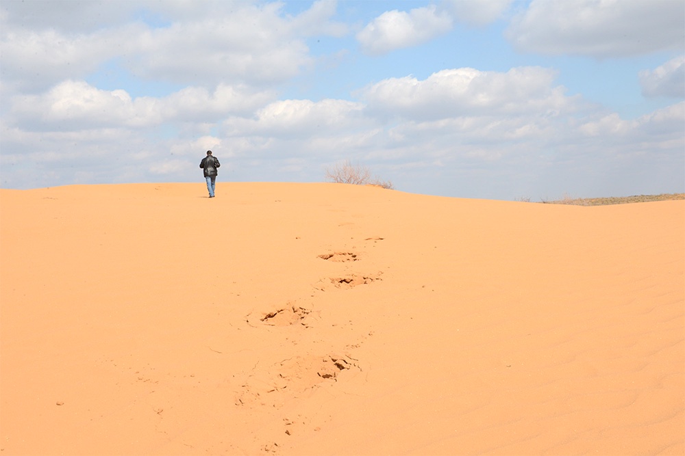 Плодородные земли Юга теряют растительность, пересыхают, превращаясь в пустыню.