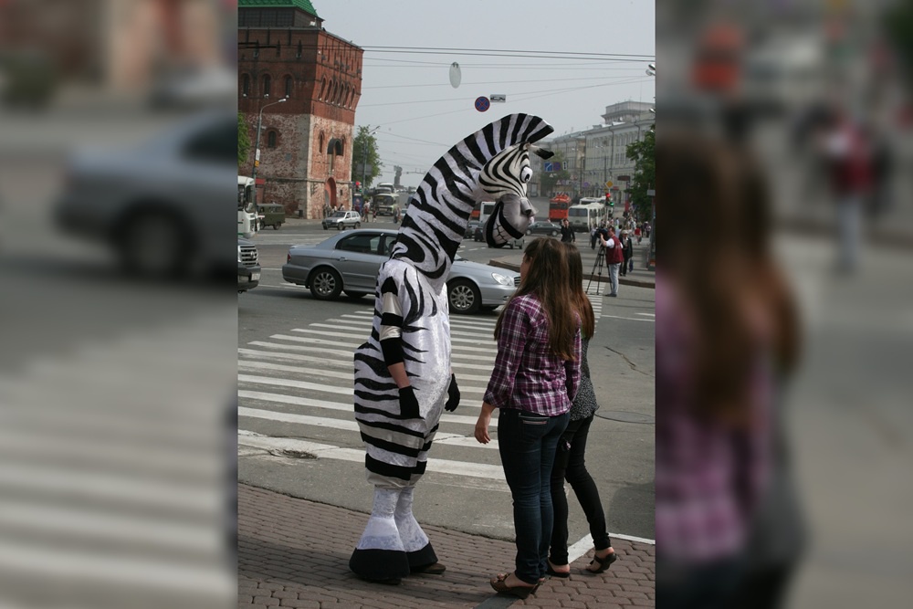 На что только не пойдешь в целях воспитания пешеходов. И зеброй оденешься. 