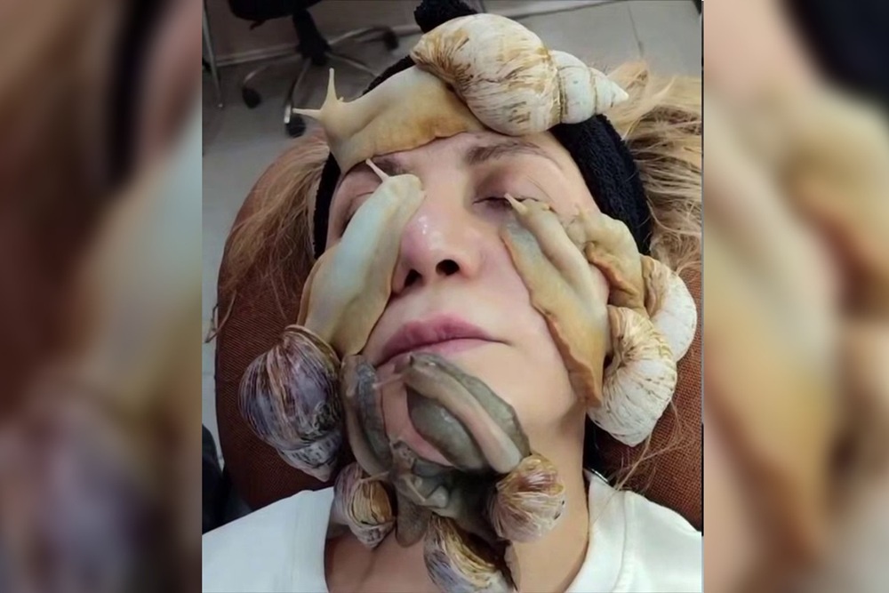 Прежде чем ахатины окажутся на лице, их должны тщательно искупать. 