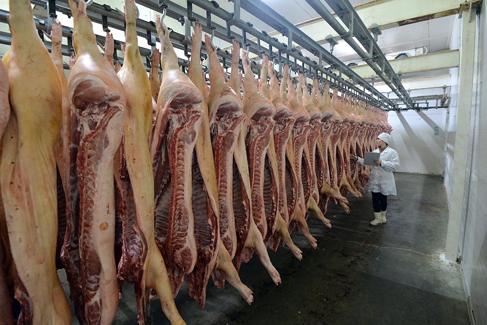 Россия увеличивает экспорт более дорогих сельскохозяйственных продуктов