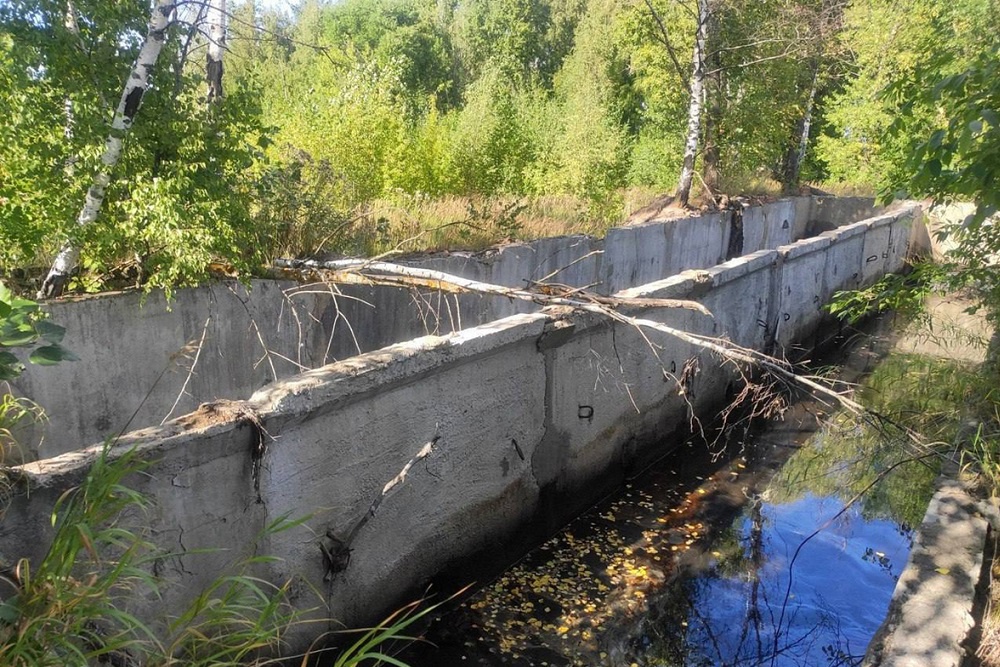 Очистка нефтепродукта потребует пяти-семи миллиардов рублей.