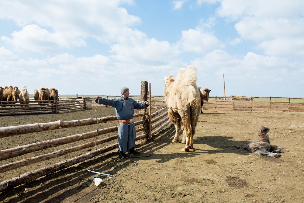 Во многих селах Калмыкии воды нет. Ее везут за много километров в тяжелых чанах.