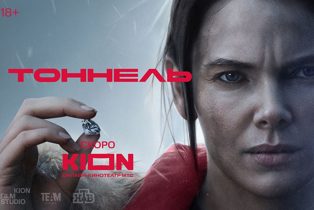 Вышли трейлер и постер сериала "Тоннель" с Елизаветой Боярской