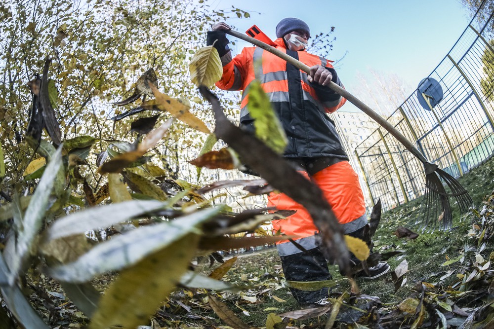 Зарплаты дворников, как правило, не дотягивают до среднего уровня доходов по региону.