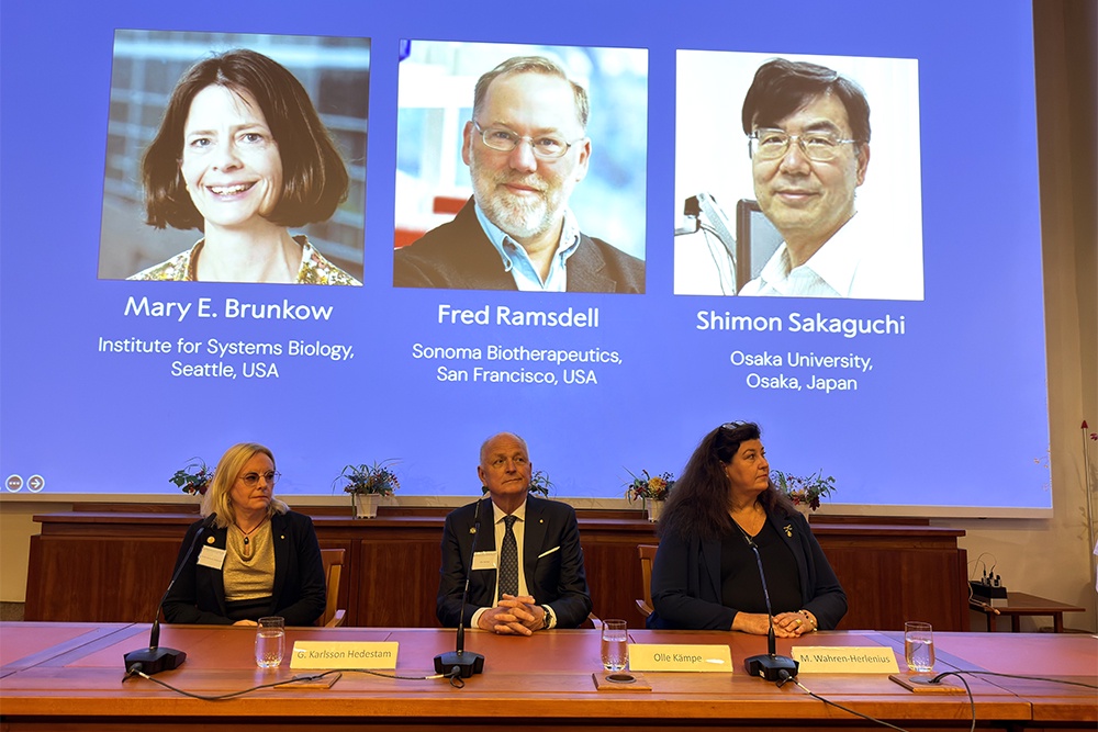 Мэри Брунков, Фред Рамсделл и Шимон Сакагучи объяснили, как иммунная система определяет, что ей в организме надо атаковать, а что защищать.