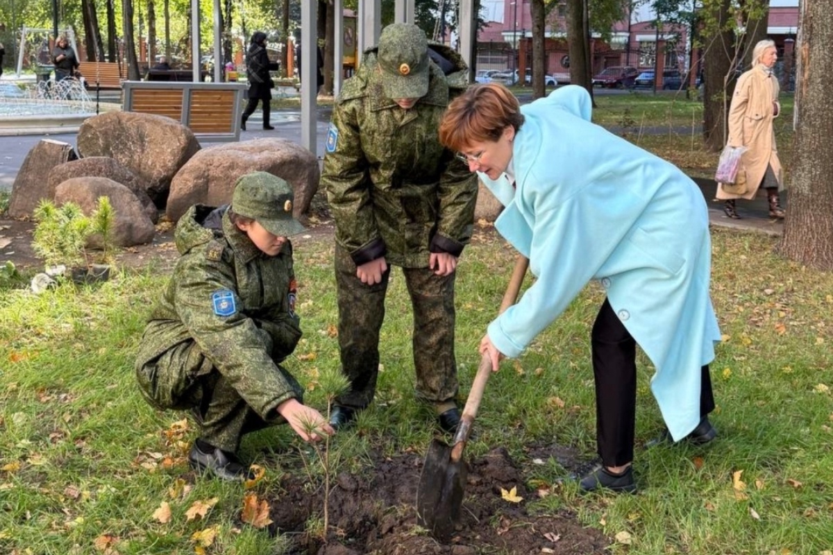 Кедры и дубы в память о Маршале Василевском появились на улице, которая носит его имя.