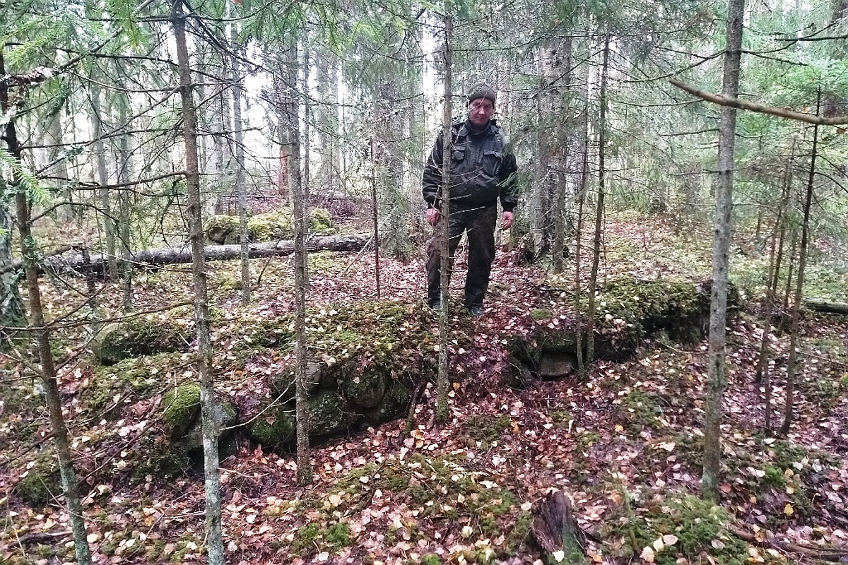Исследователь окрестностей Соснового Бора Виктор Гусаров случайно нашел в лесу более 100 кладок, которые состояли из небольших валунов.