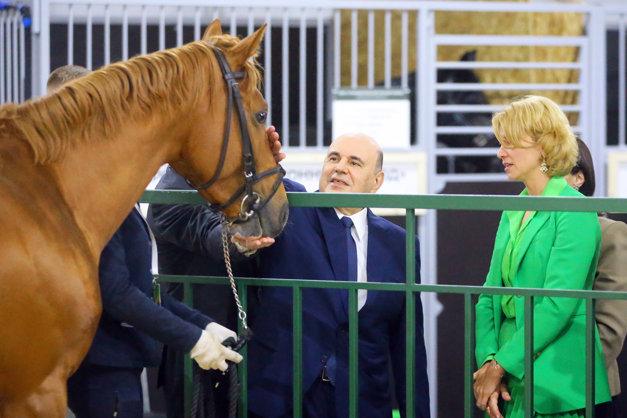 Михаил Мишустин "поздоровался" на выставке с конем Буденновской породы. 
