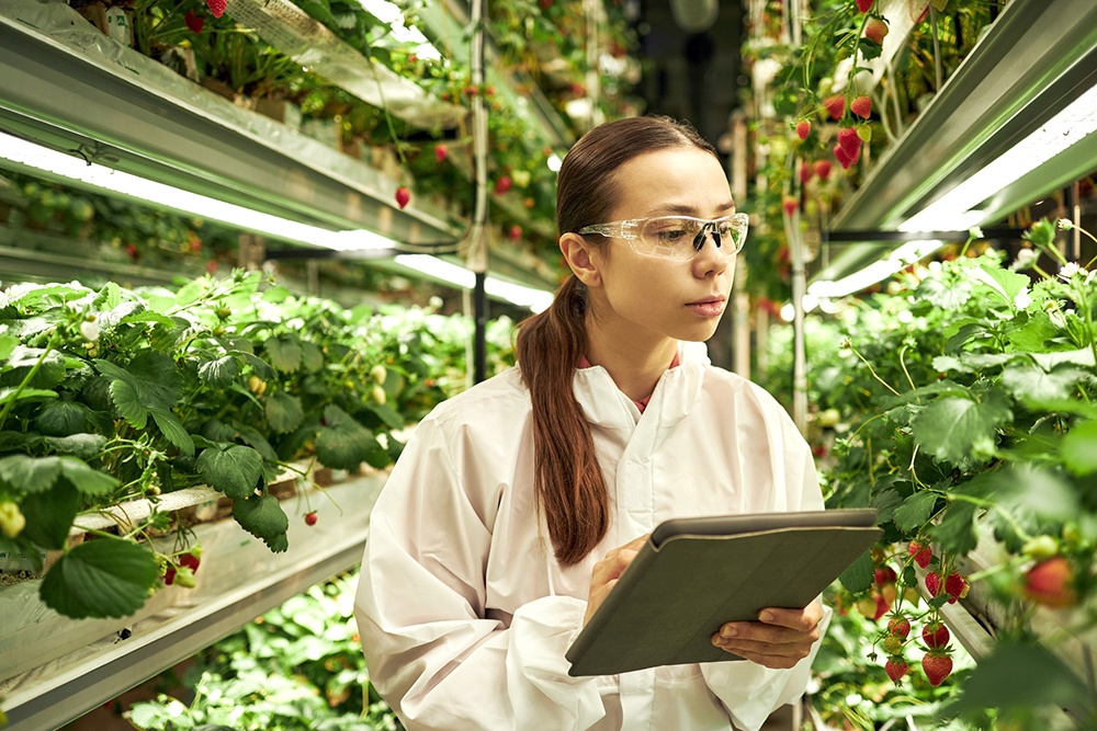 Сегодня в сельском хозяйстве требуются молодые специалисты, разбирающиеся в современных технологиях и цифровых инструментах.