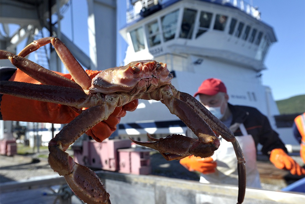 Краболовное судно на пути к арктическим богатствам