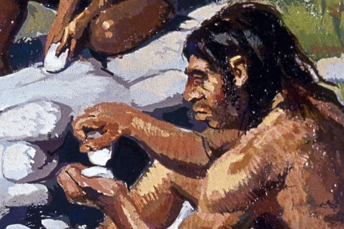 400 000 лет назад люди не только использовали тушу как источник пищи, но и экспериментировали с костяными орудиями, что было редкой практикой для столь раннего времени. 