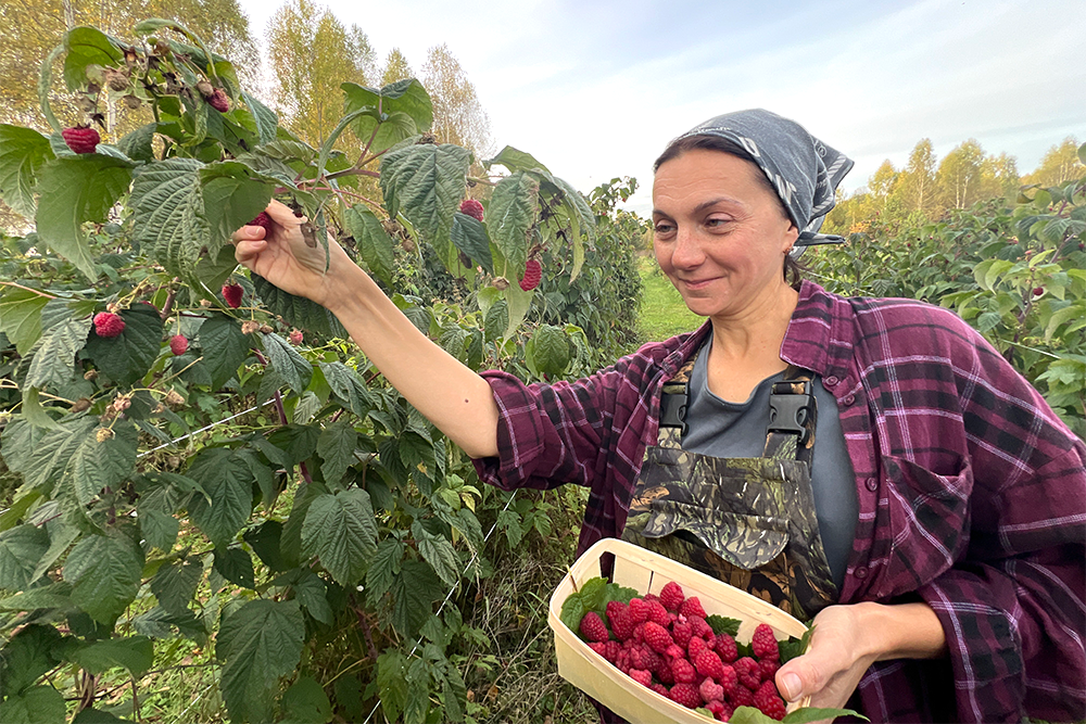 Анна Фосс словно сошла с обложки журнала "Крестьянка". Малина почти сошла. Аня готовится к новому сезону.