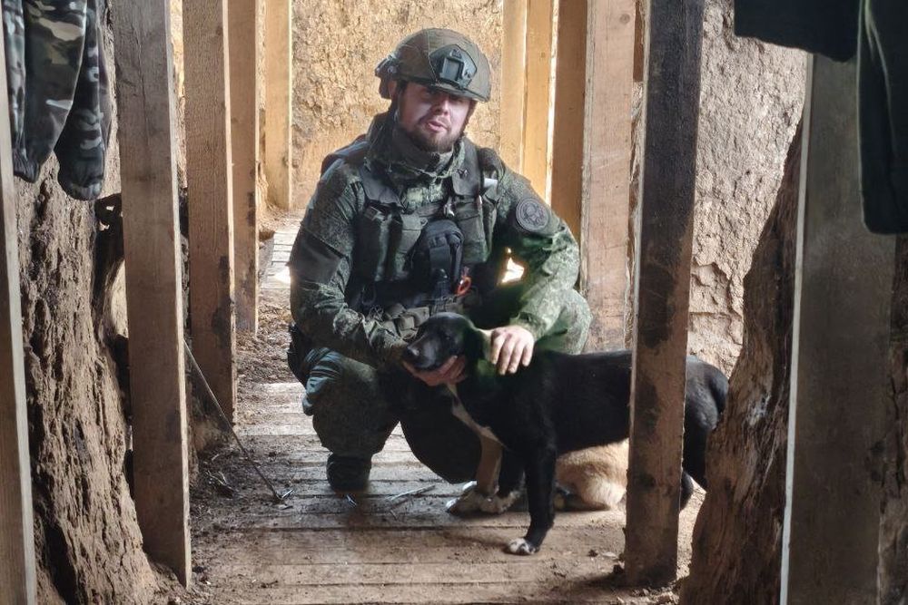 Санинструктор с позывным Поп на СВО с октября 2022 года
и успел обзавестись собственным питомцем.