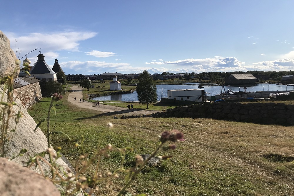 Из-за нашествия хищников жителям поселка Соловецкий придется провожать детей в школу, а также встречать после занятий.