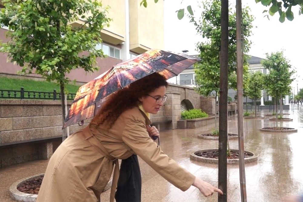 В 2024 году Пальшина обнаружила, что высажено около 100 деревьев вместо положенных 300.