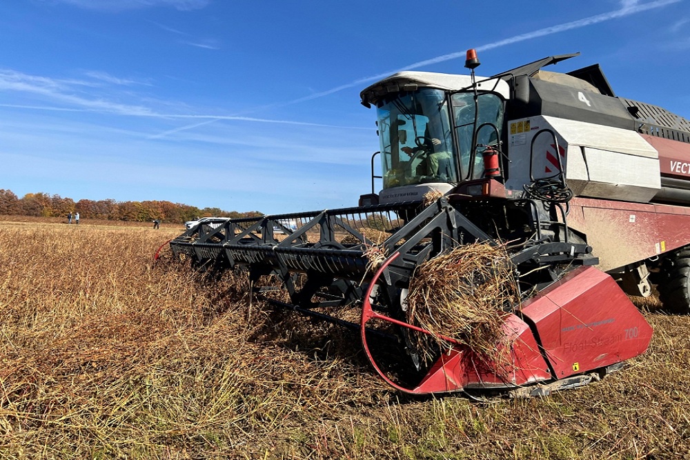 Сельское хозяйство играет ключевую роль в обеспечении продовольственной безопасности, занятости населения и развитии экспорта Дальнего Востока.