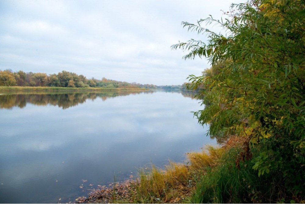 В Астраханской области вопрос восстановления промысловых запасов воблы находится на особом контроле властей В Астраханской области вопрос восстановления промысловых запасов воблы находится на особом контроле властей