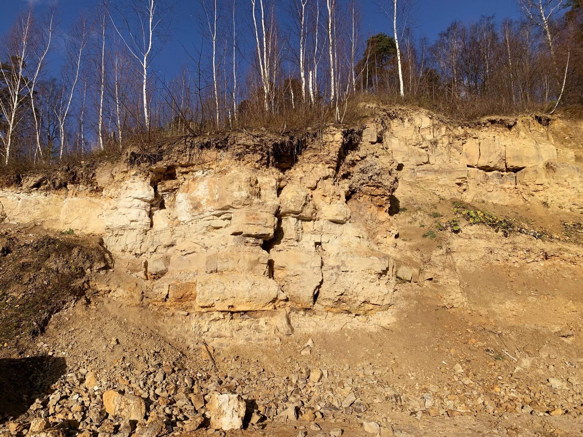 Подмосковный известняк богат окаменелостями морской флоры и фауны, обитавшей здесь около 300 миллионов лет назад