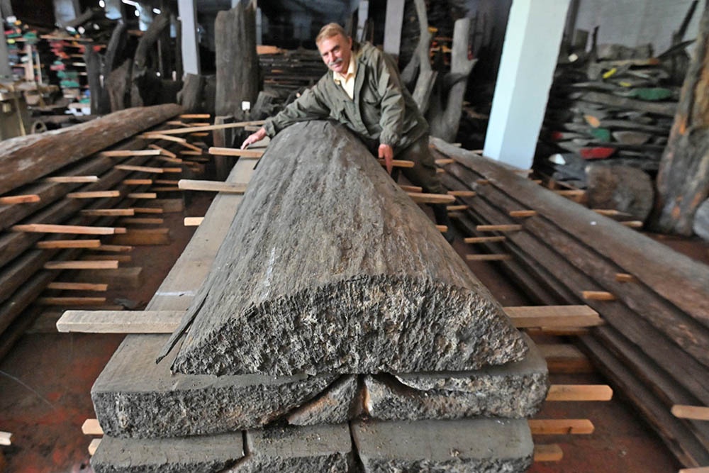 Найденным на дне реки деревьям от 300 до 5000 лет. Самое высокое - 20-метровый дуб.