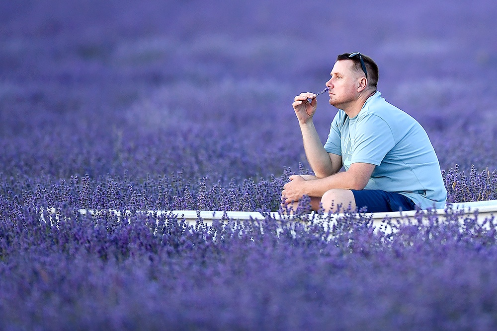 Мужчина на плантациях лаванды