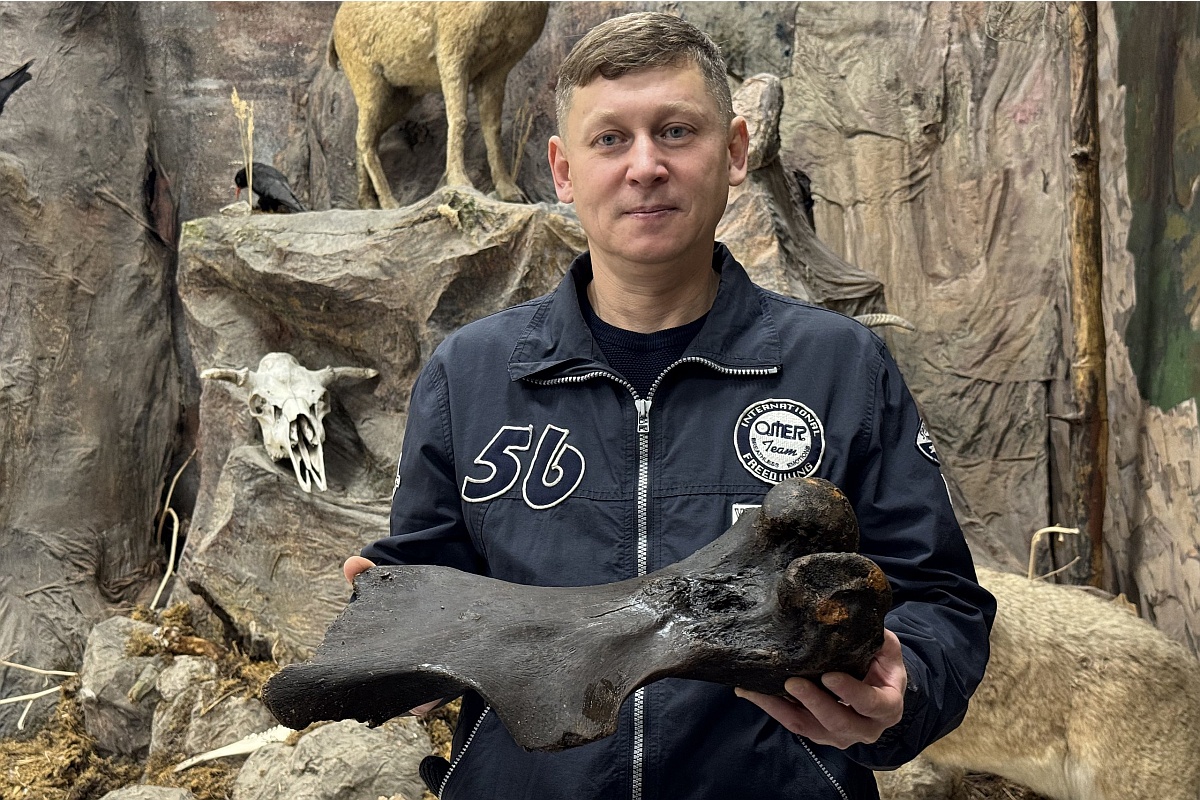 Находки Вячеслав Мосунов передал в дар Зоологическому музею Уральского университета науки и технологий. Находки Вячеслав Мосунов передал в дар Зоологическому музею Уральского университета науки и технологий.