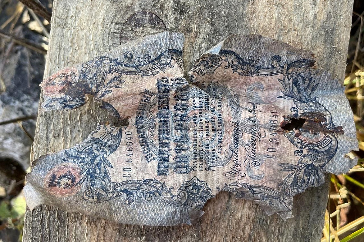 На эти пять рублей в дореволюционной России можно было купить бутылку дорогого вина или снять номер в гостинице на одну ночь.