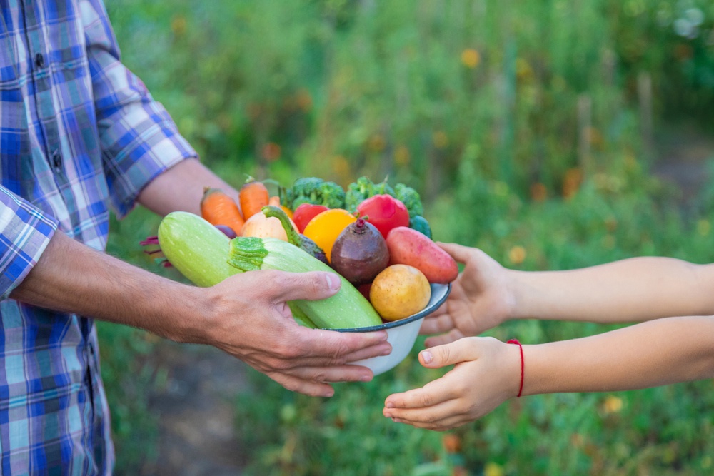 Как помочь нуждающимся семьям, сделать научное открытие и обновить дороги