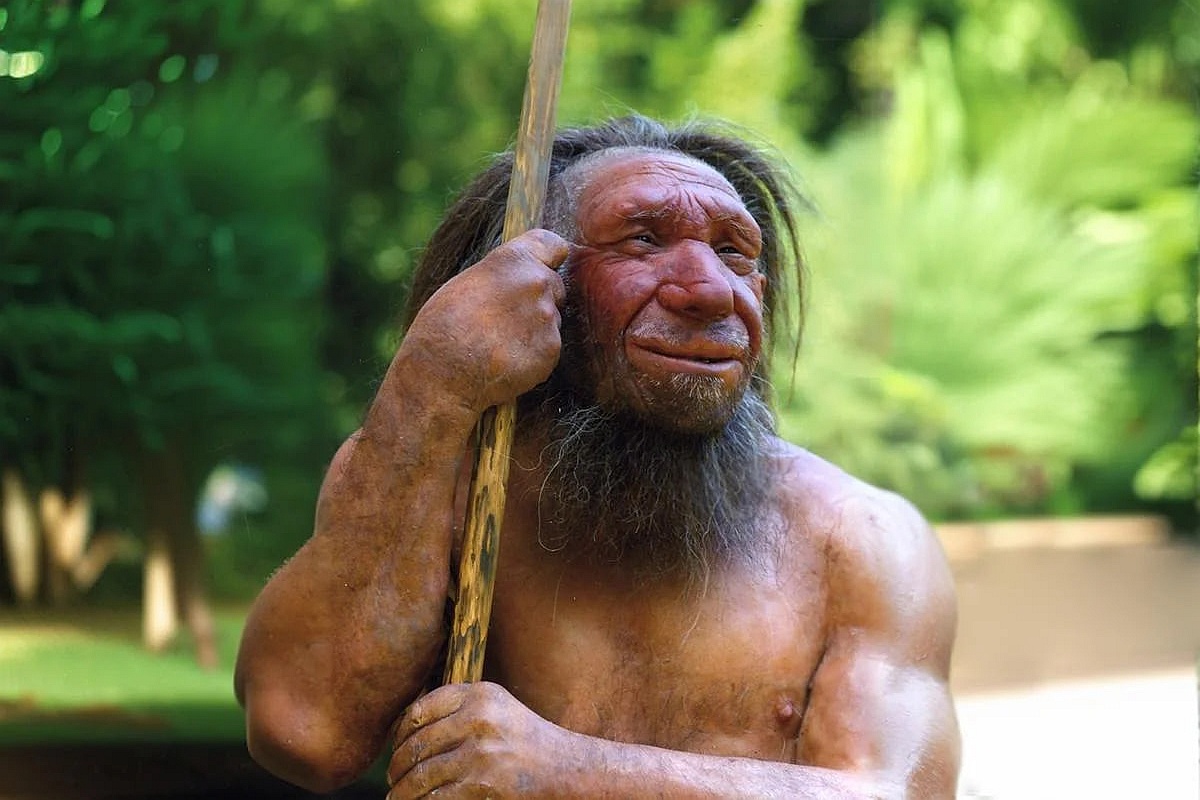 ДНК из Крыма показала, что неандертальцы устанавливали связи с "сородичами", обитавшими за тысячи километров.  ДНК из Крыма показала, что неандертальцы устанавливали связи с "сородичами", обитавшими за тысячи километров.