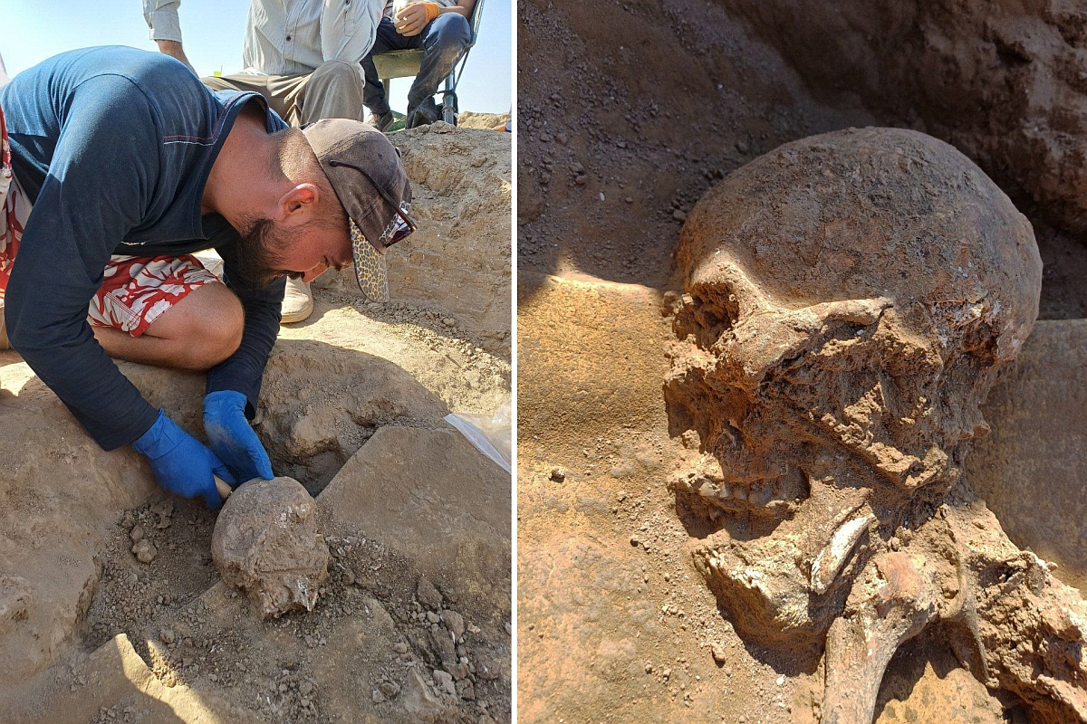 Вскрытие сосуда, в котором похоронили ребенка. Возможно, эта находка наконец-то позволит получить генетический материал. Вскрытие сосуда, в котором похоронили ребенка. Возможно, эта находка наконец-то позволит получить генетический материал.