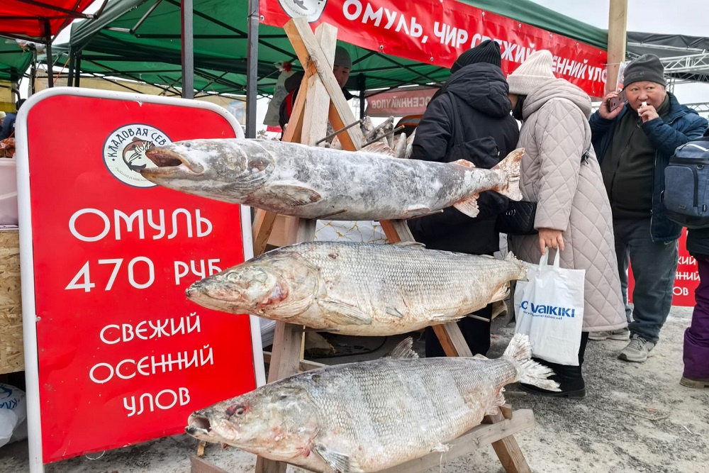С ярмарки никто не ушел с пустыми руками: на прилавках было представлено все разнообразие якутской рыбы.