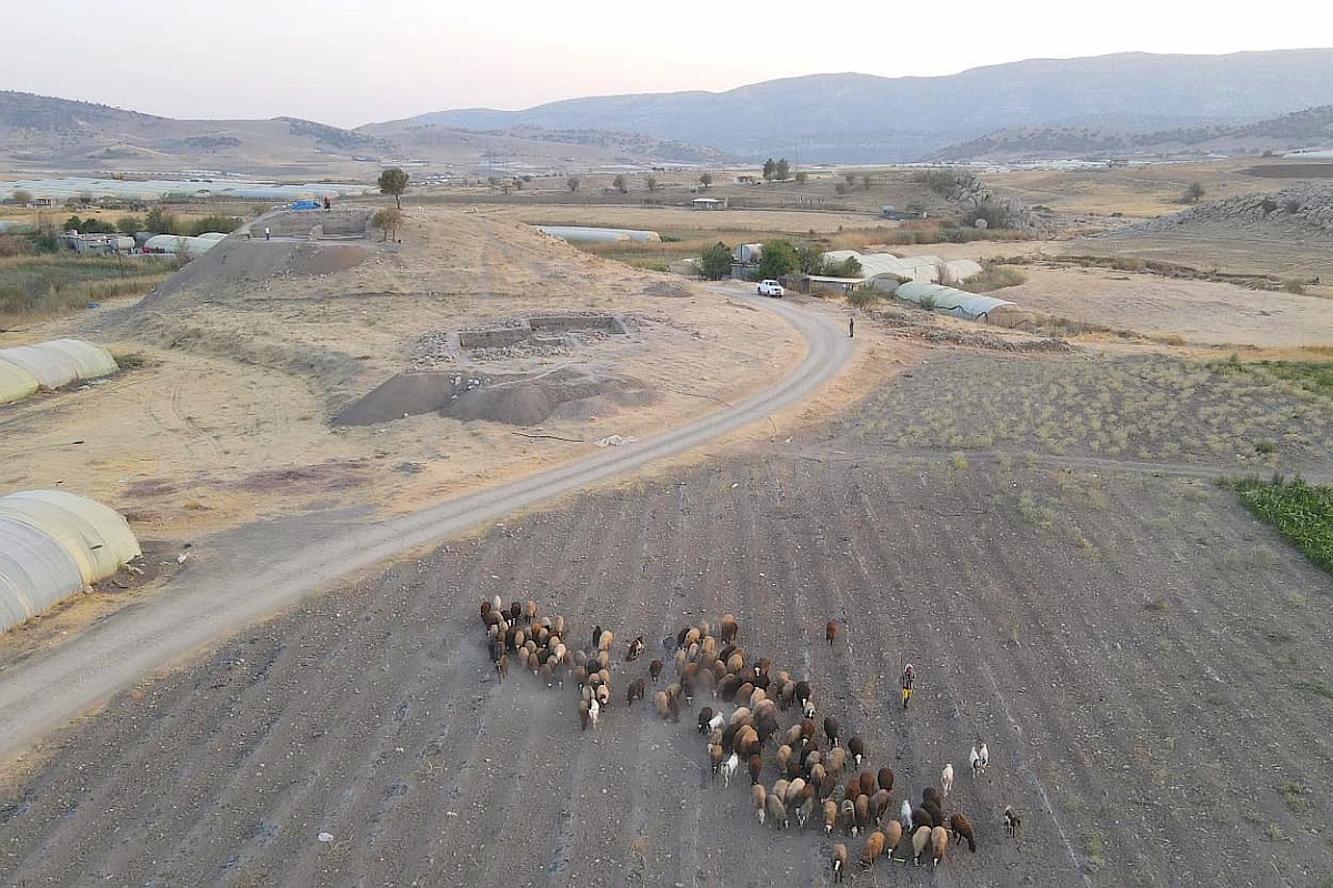 Раскопки велись на вершине искусственного холма, где сохранились фрагменты массивных стен и характерных архитектурных деталей.  Раскопки велись на вершине искусственного холма, где сохранились фрагменты массивных стен и характерных архитектурных деталей.