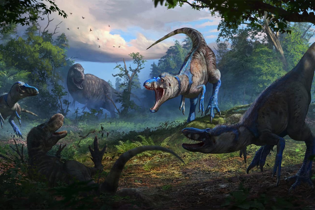 Вот так, по мнению ученых, выглядел нанотираннозавр. Вот так, по мнению ученых, выглядел нанотираннозавр.