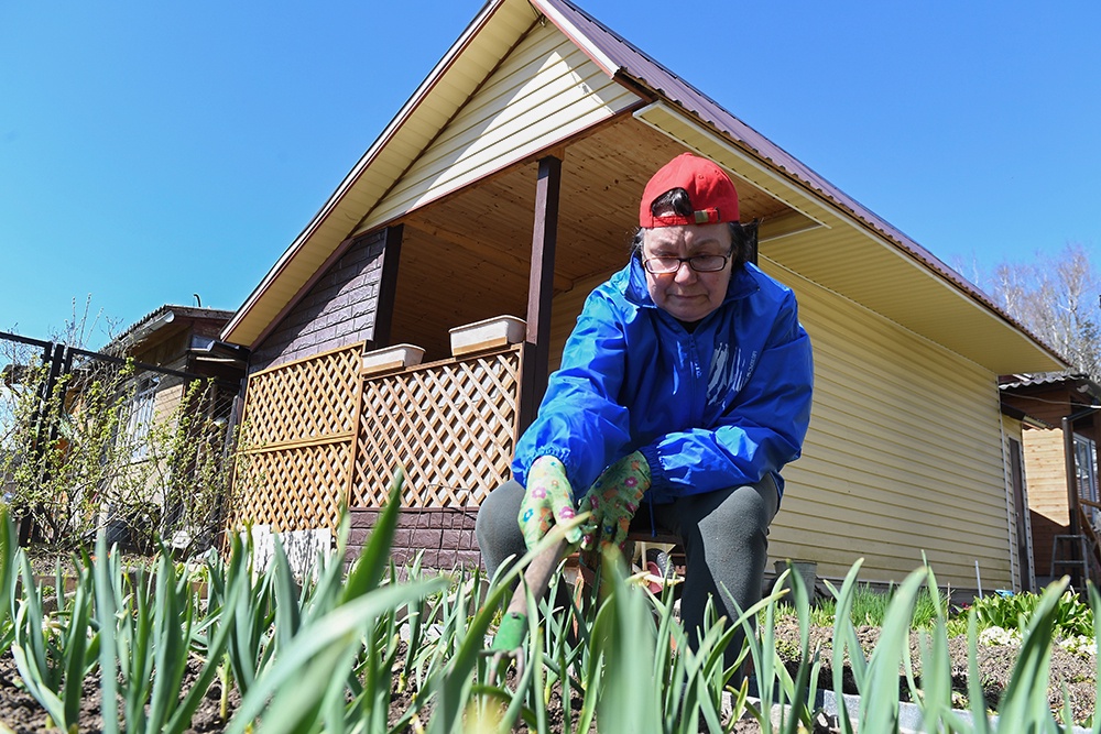 женщина сажает чеснок