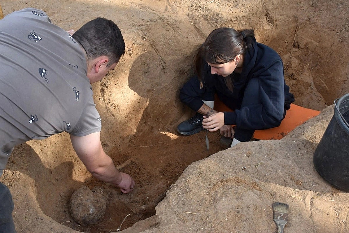 Исследование прошло на образцах из Волосово-Даниловского могильника фатьяновской культуры.