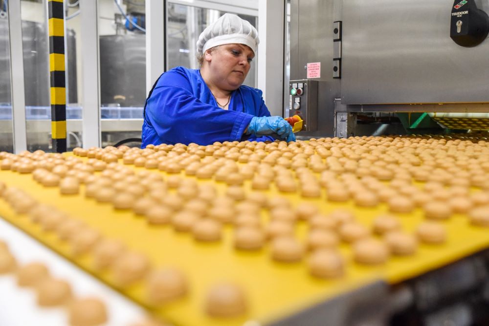 Росимущество продает заводы двух иностранных компаний в ЦФО