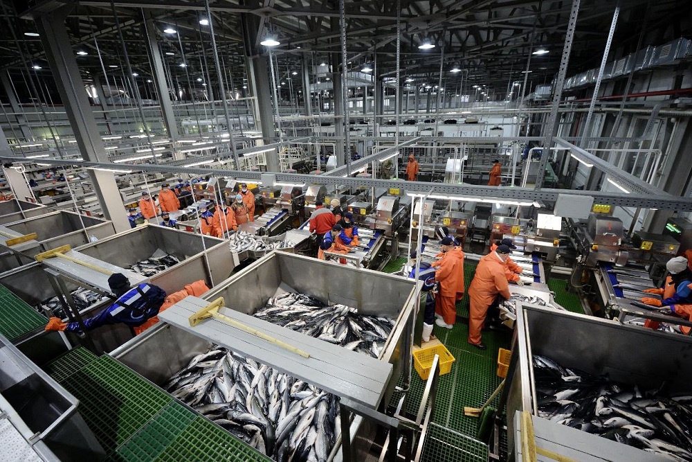 Дальневосточные ТОР позволяют реализовать масштабные проекты за счет предоставления льгот, готовой инфраструктуры и упрощения административных процедур для бизнеса.