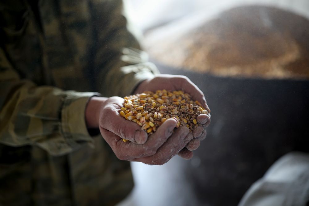 Качественные комбикорма становятся все более востребованными