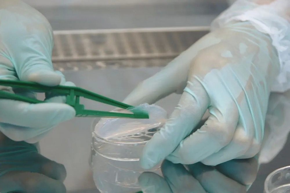 Покрытие способствует восстановлению структуры в поврежденных областях, имитируя естественные процессы тканевой регенерации.