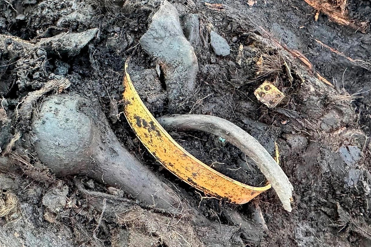 Геродот описал шокирующий погребальный ритуал, подтверждение которому нашли в Туннуге-1. Геродот описал шокирующий погребальный ритуал, подтверждение которому нашли в Туннуге-1.