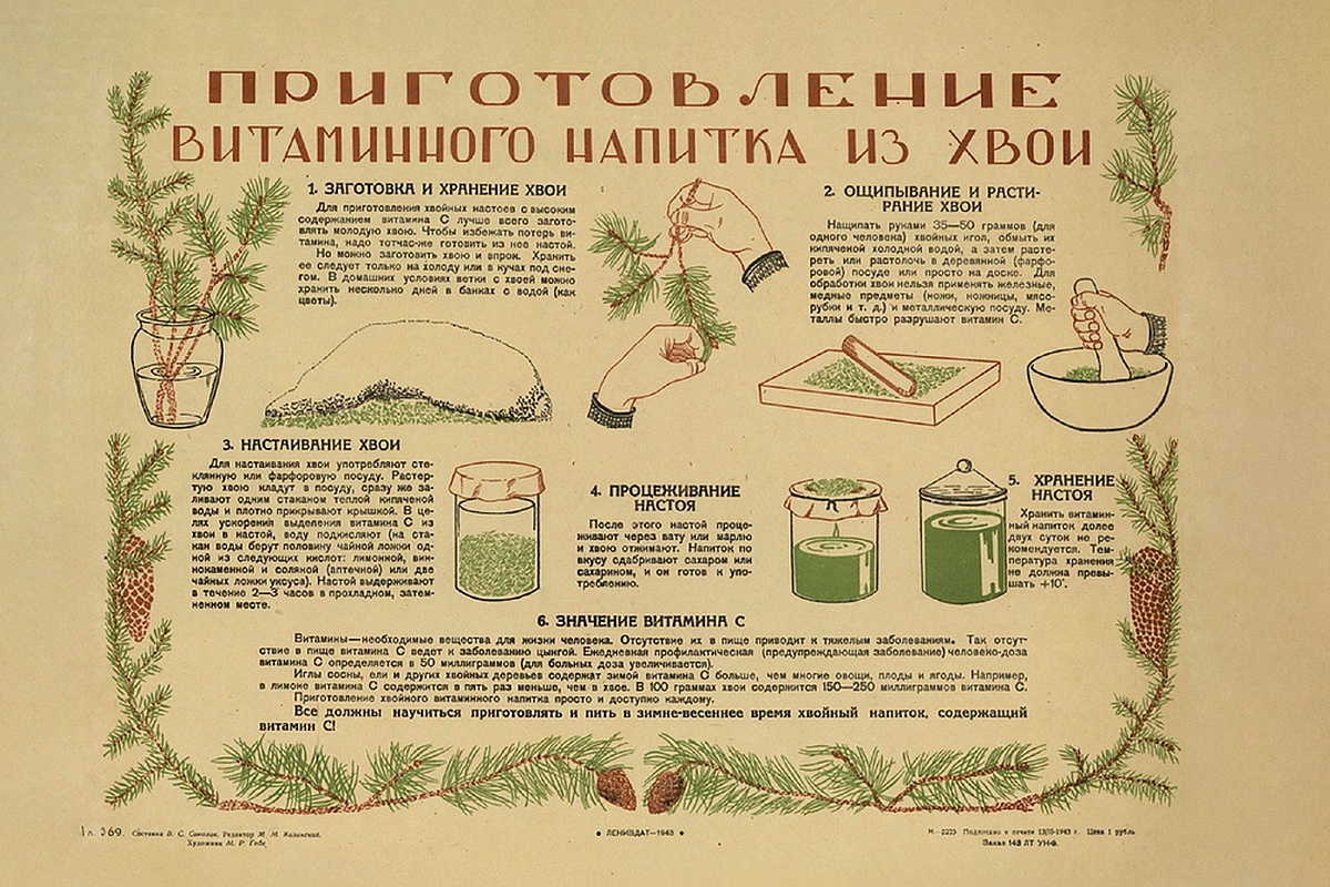 Памятка по приготовлению витаминного напитка из хвои. 1943 год. Памятка по приготовлению витаминного напитка из хвои. 1943 год.